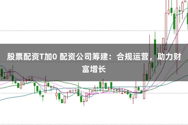 股票配资T加0 配资公司筹建：合规运营，助力财富增长