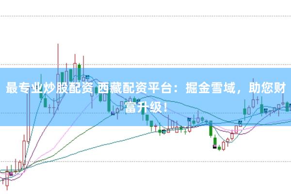 最专业炒股配资 西藏配资平台：掘金雪域，助您财富升级！