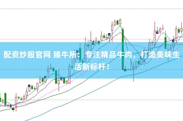 配资炒股官网 臻牛所：专注精品牛肉，打造美味生活新标杆！