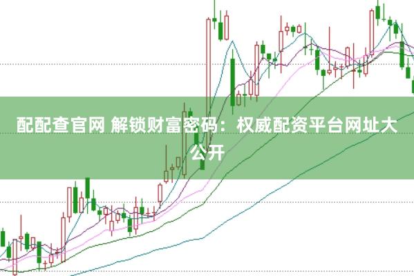 配配查官网 解锁财富密码：权威配资平台网址大公开