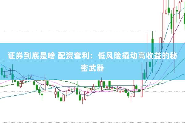 证券到底是啥 配资套利：低风险撬动高收益的秘密武器