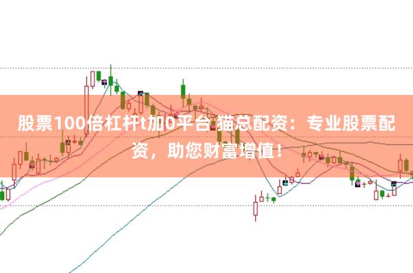 股票100倍杠杆t加0平台 猫总配资：专业股票配资，助您财富增值！