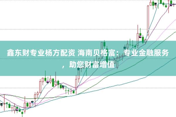 鑫东财专业杨方配资 海南贝格富：专业金融服务，助您财富增值