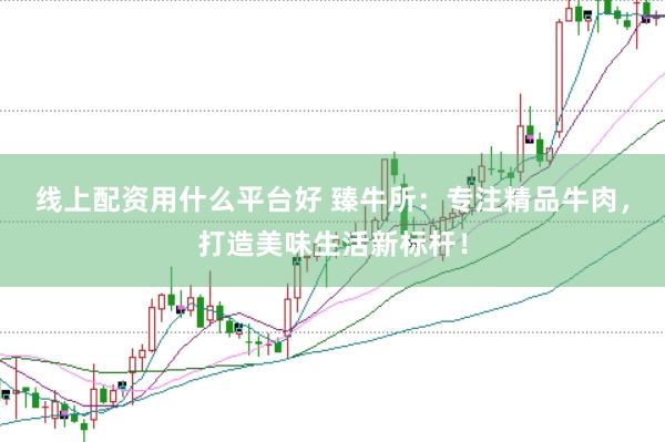 线上配资用什么平台好 臻牛所：专注精品牛肉，打造美味生活新标杆！
