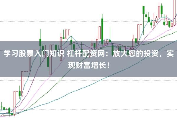 学习股票入门知识 杠杆配资网：放大您的投资，实现财富增长！
