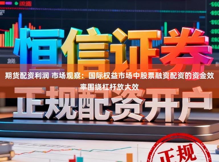 期货配资利润 市场观察：国际权益市场中股票融资配资的资金效率围绕杠杆放大效
