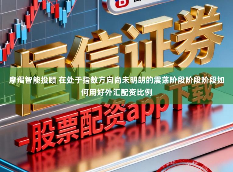 摩羯智能投顾 在处于指数方向尚未明朗的震荡阶段阶段阶段如何用好外汇配资比例