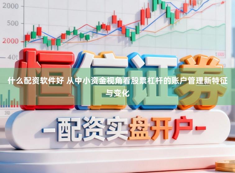 什么配资软件好 从中小资金视角看股票杠杆的账户管理新特征与变化
